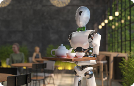 Service Robots